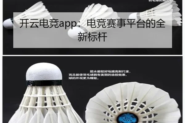 开云电竞app：电竞赛事平台的全新标杆